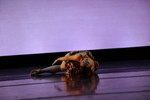 BFA Dance Showcase: Aika Doone, "Che si puó fare" by Alyssa Roseborough