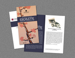 Escalette Permanent Collection of Art Brochure by Eric Chimenti