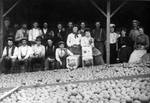 Packing house workers with Old Mission Brand crates and oranges, Covina, California, 1907