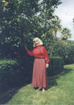 Joyce Chapman posing by an orange tree, 1998