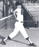 Chapman College baseball team member, Orange, California