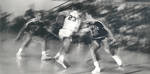 Action shot of Chapman basketball team members, 1966