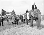 Chapman College's entry in the Elephant Races, Fullerton, 1962