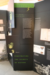 Frankenstein Travelling Exhibit and Lecture Series