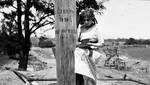 Thanhouser actress on telegraph pole