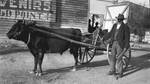 Man with oxen cart in Thanhouser yard
