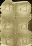 Friese-Greene film frames, 1889