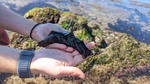 The Impact of Climate Change on Sea Hare Respiration by Desiree Forsythe and Richelle Tanner