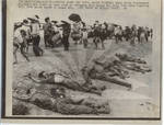 Vietnamese Refugees Pass Dead Soldiers by Willie Vicoy
